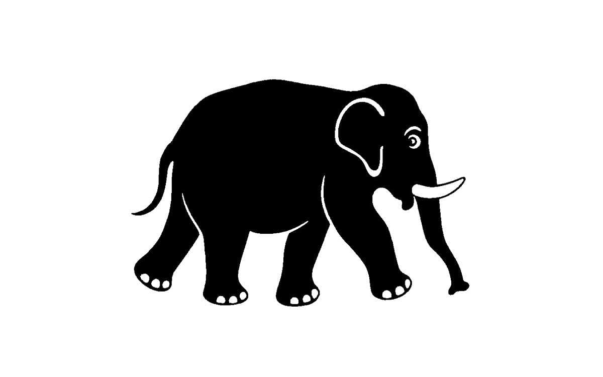 தானம் செய்யாத யானை!