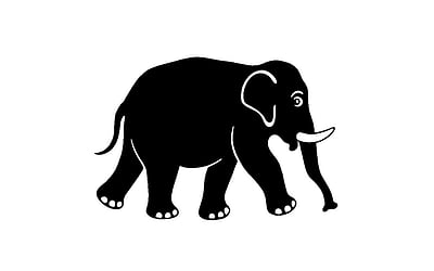 தானம் செய்யாத யானை!