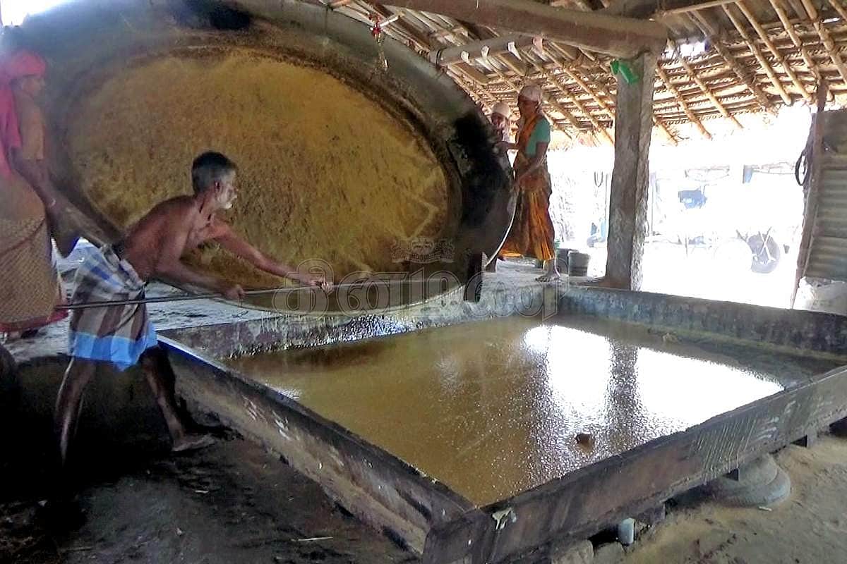 பொங்கலுக்குச் சுவையூட்டும் பரமத்தி வேலூர் வெல்லம்