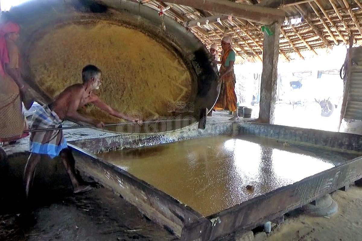 பொங்கலுக்குச் சுவையூட்டும் பரமத்தி வேலூர் வெல்லம்