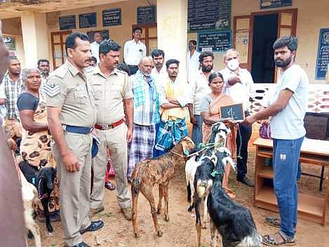News image