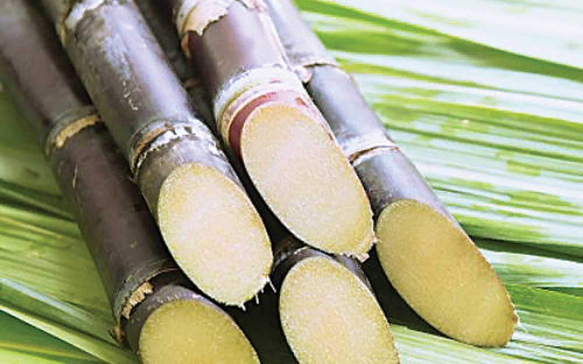 கரும்பின் மருத்துவ குணங்கள்!