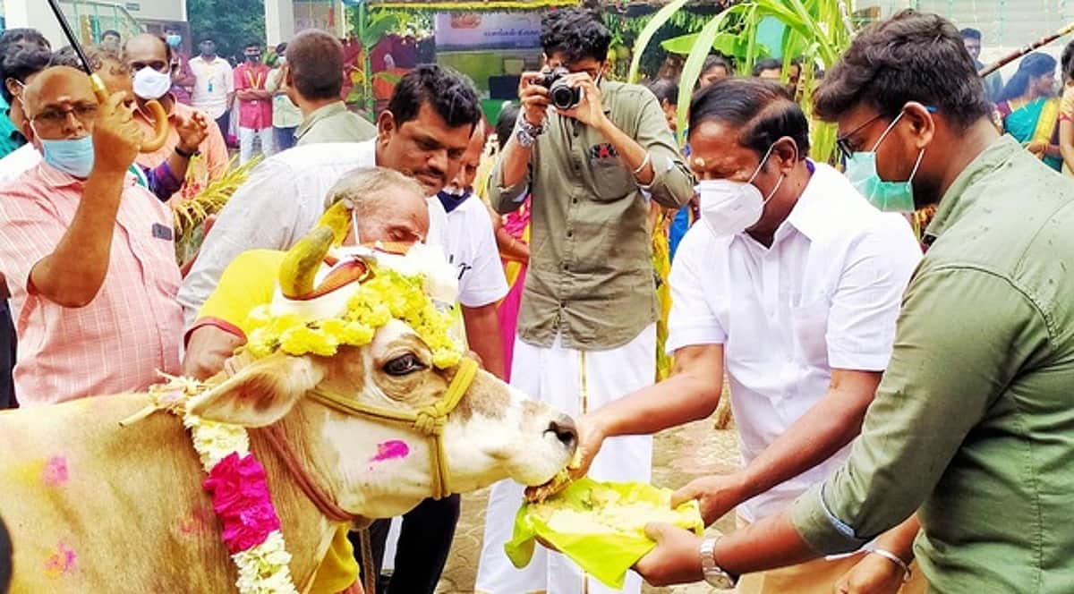 News image