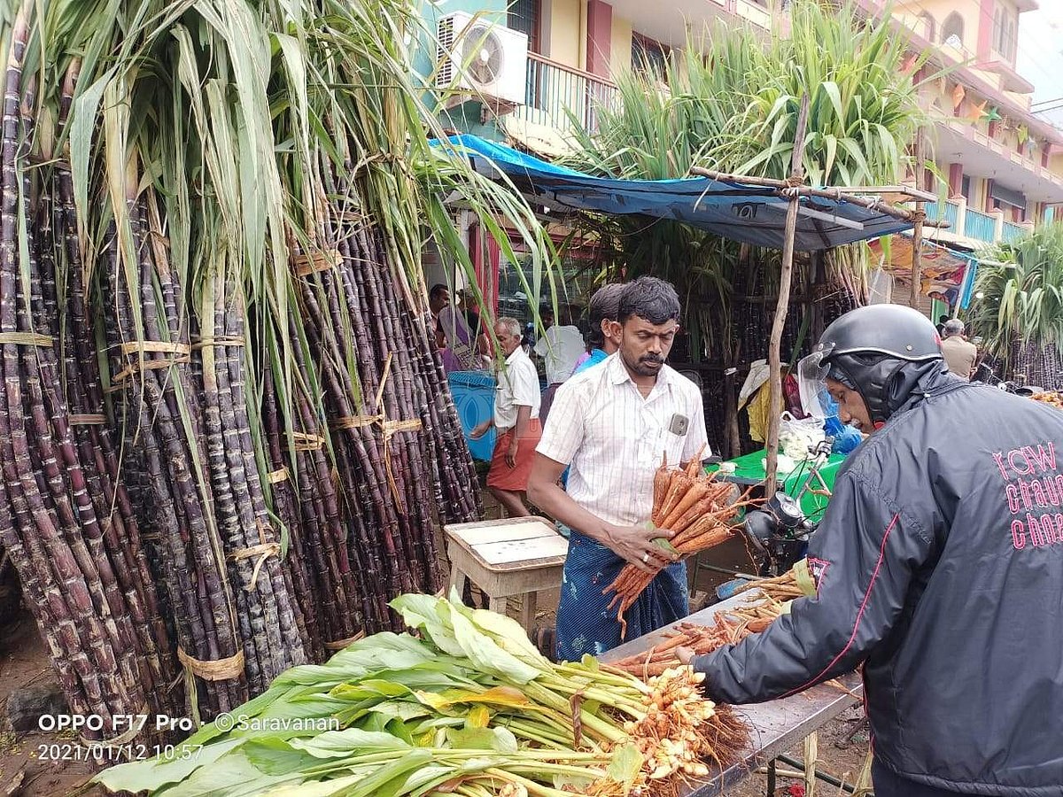 மழையால் பொங்கல் வியாபாரம் பாதிப்பு; வியாபாரிகள் தவிப்பு