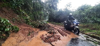 மாஞ்சோலை மலைச்சாலையில் மண்சரிவு: போக்குவரத்து பாதிப்பு