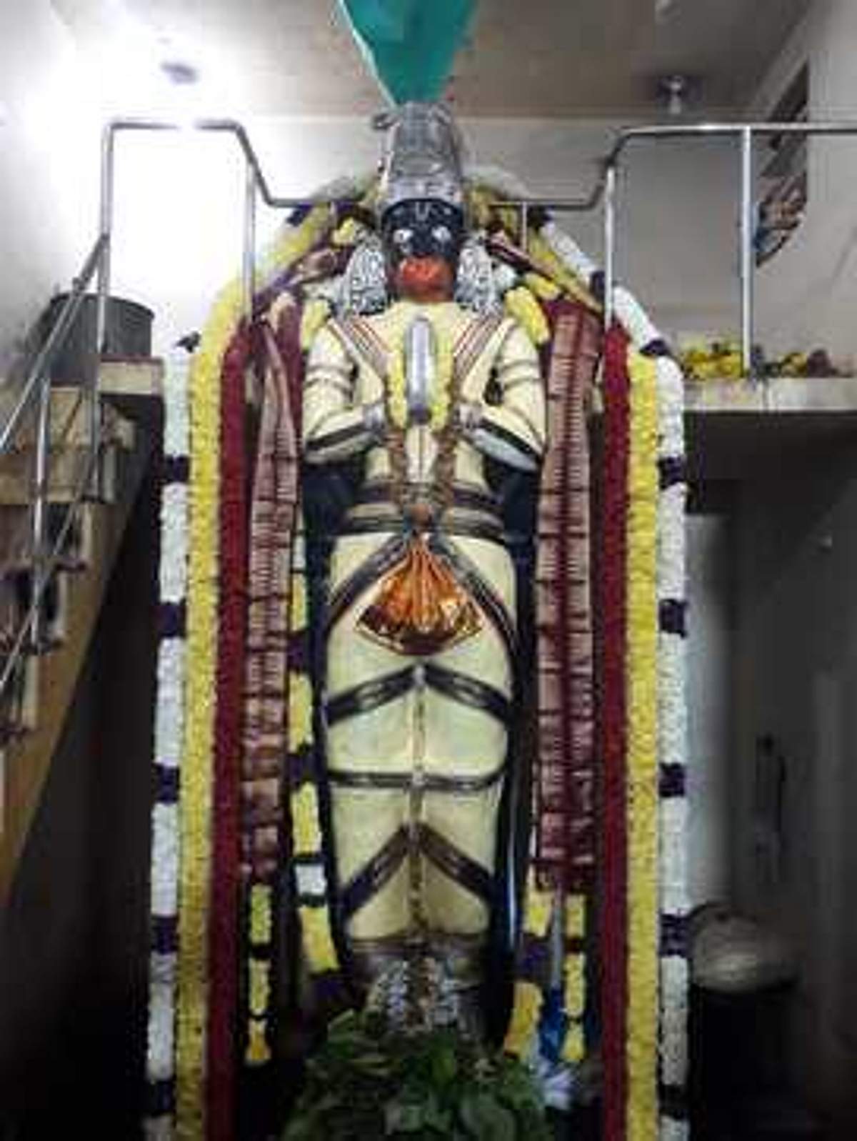 News image