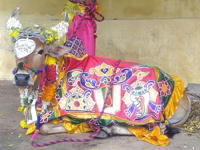 தம்பிரான் தொழுவும் மண் மனம் மாறா மாட்டுப் பொங்கலும்