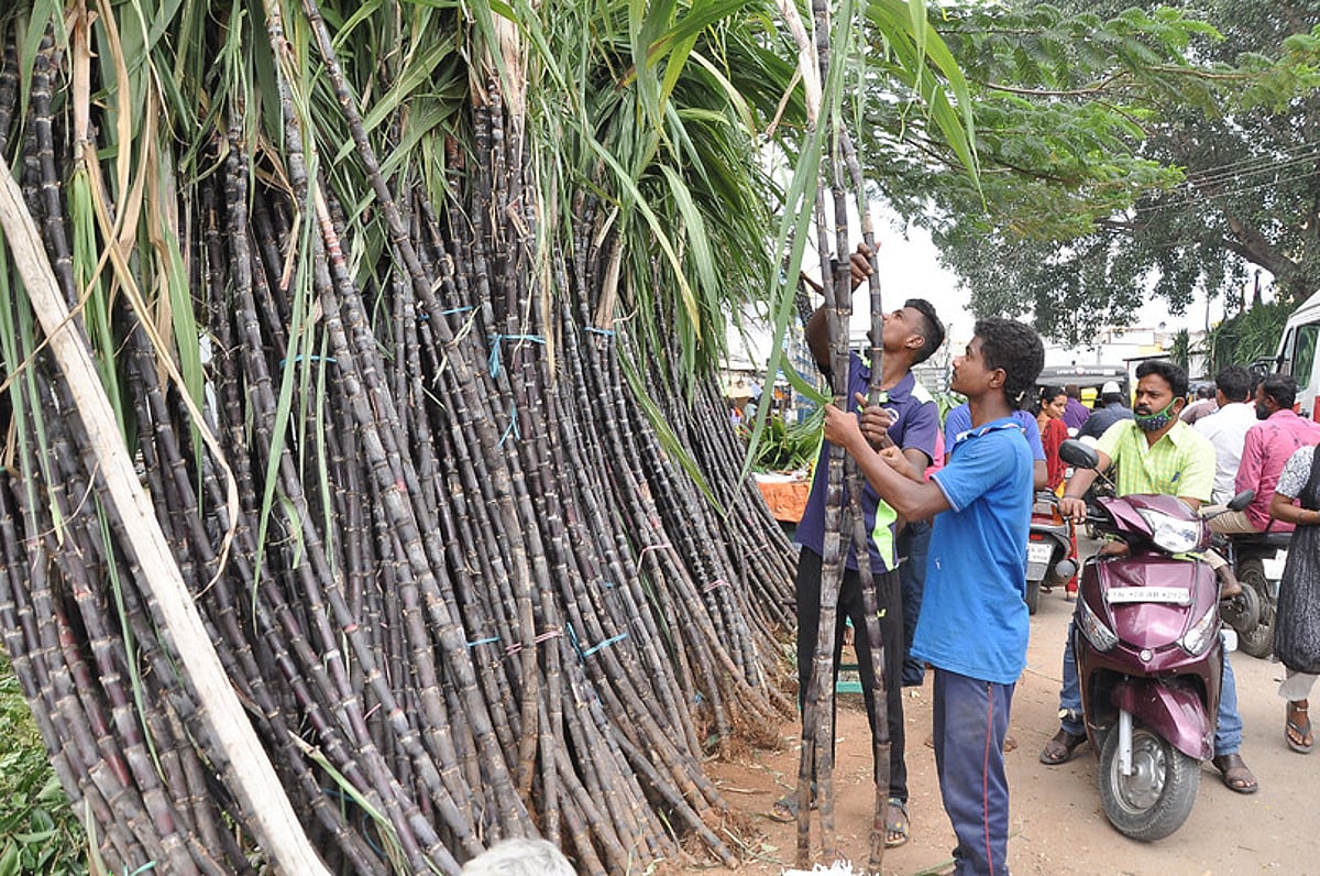 கிருஷ்ணகிரியில் பொங்கல் பானை, கரும்பு வாங்க பொதுமக்கள் ஆா்வம்
