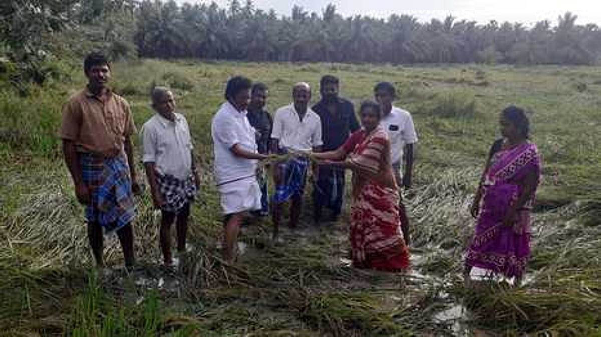 சேதுபாவாசத்திரம் பகுதியில் திமுக சாா்பில் நிவாரண உதவி