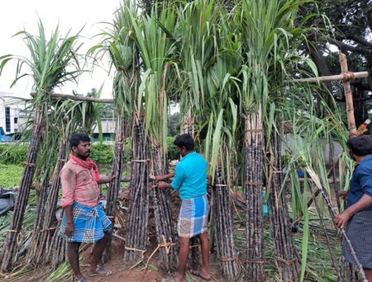 பொங்கல்: களைகட்டிய நாகை கடைவீதிகள்