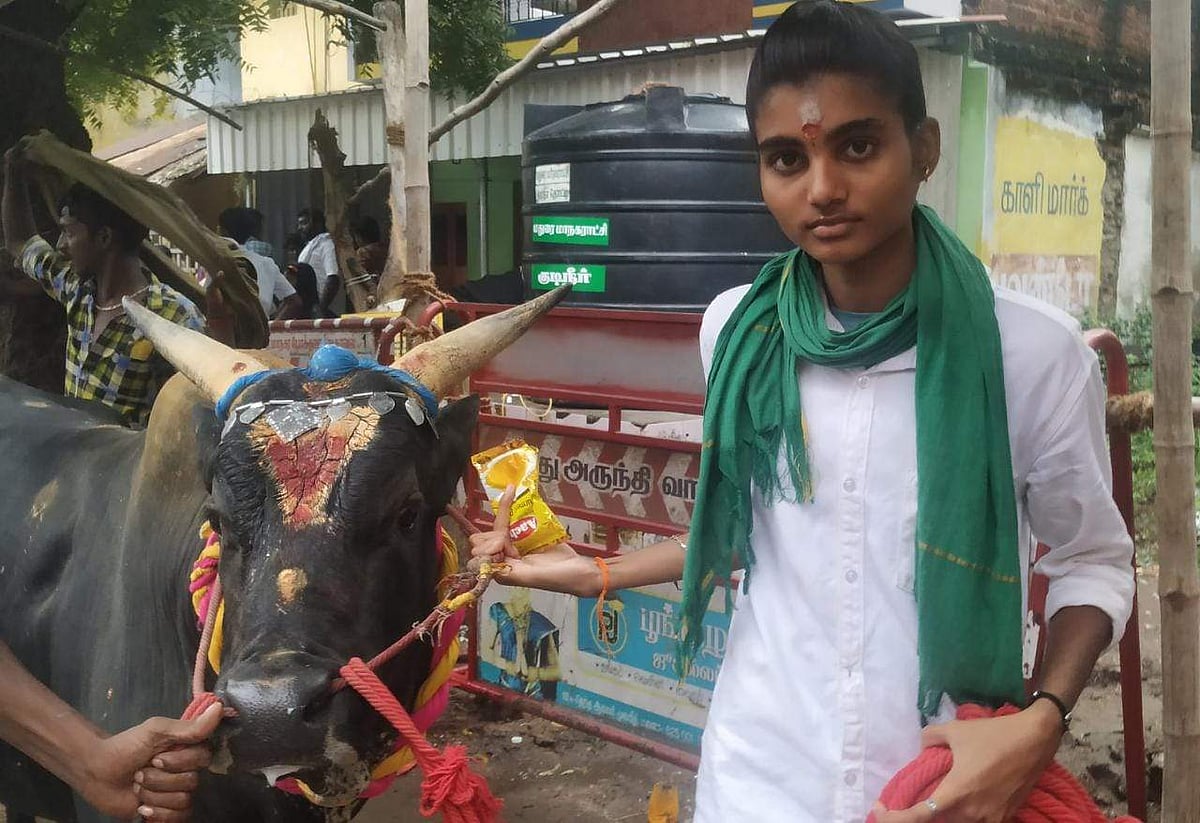 அவனியாபுரம் ஜல்லிக்கட்டு: காளையுடன் வந்த 10-ஆம் வகுப்பு மாணவி