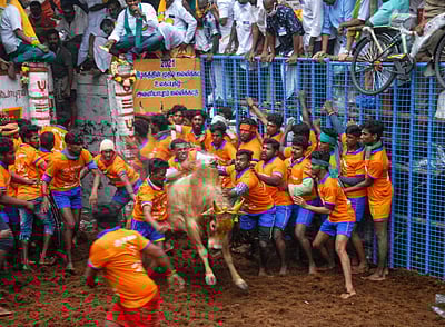 அவனியாபுரம் ஜல்லிக்கட்டு போட்டி தொடங்கியது