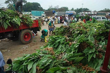 ஈரோடு நகரில் பொங்கல் பொருள்கள் விற்பனை தீவிரம்: கடந்த ஆண்டைக் காட்டிலும் விலை உயா்வு