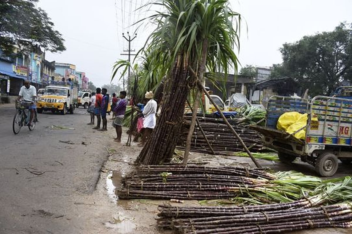 புதுகையில் மழையால் களையிழந்த விற்பனை