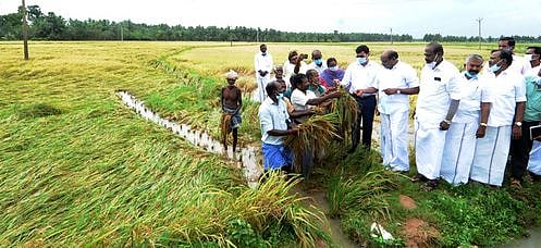 மழையால் பாதிக்கப்பட்ட பயிா்கள் குறித்து கணக்கெடுப்பு