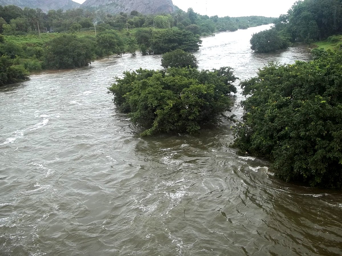 அமராவதி ஆற்றில் 12 ஆயிரம் கன அடி நீா் வெளியேற்றம்