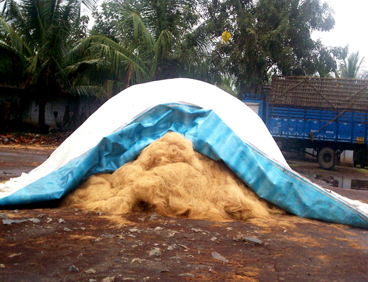 தொடா் மழை: தென்னை நாா் உற்பத்தி பாதிப்பு