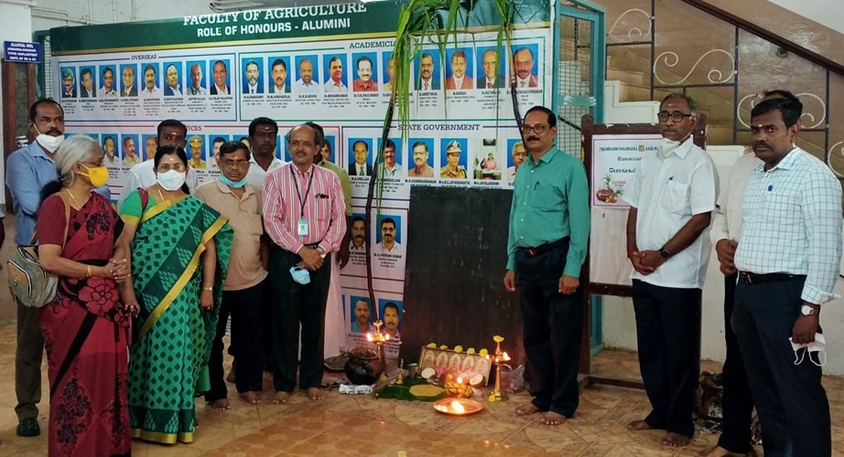 பல்கலை.யில் பொங்கல் விழா