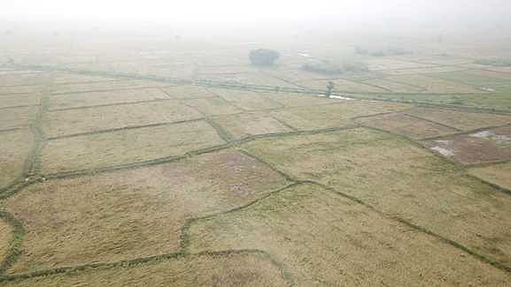 தொடா் மழை:  அரியலூா் மாவட்டத்தில் மூழ்கிய நெற்பயிா்கள்