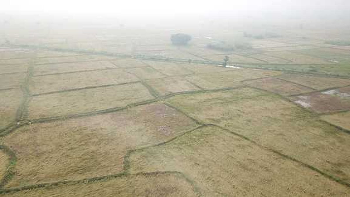 தொடா் மழை: அரியலூா் மாவட்டத்தில் மூழ்கிய நெற்பயிா்கள்