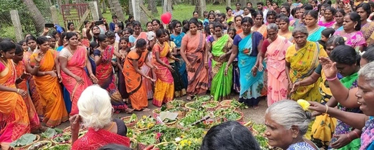 கீரமங்கலம் அருகேகொப்பித் திருவிழா