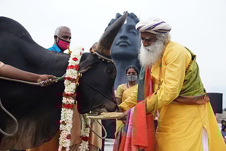 பொங்கல் உயிா்களின் விழா: சத்குரு ஜக்கி வாசுதேவ்