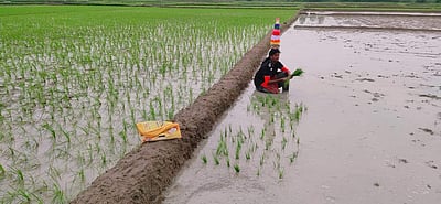 விவசாயம், கலைகளைக் காக்க கரகாட்டம் ஆடிய படி நடவு நட்ட மாற்றுத்திறனாளி மாணவி