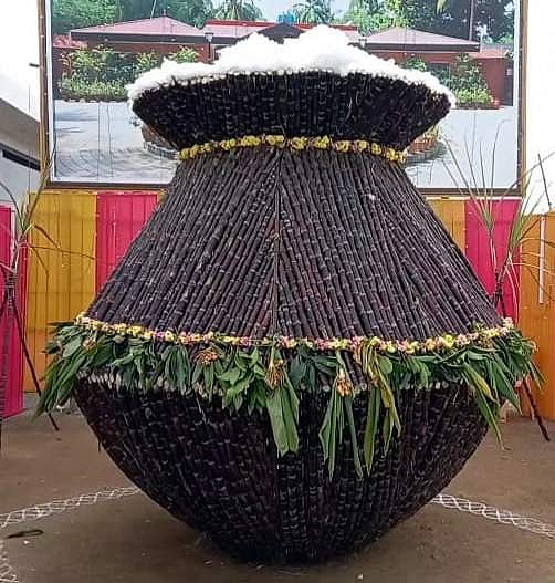 காஞ்சிபுரம்: 15 அடி உயரத்தில் கரும்பு பானை வைத்து பொங்கல் கொண்டாடிய விவசாயி