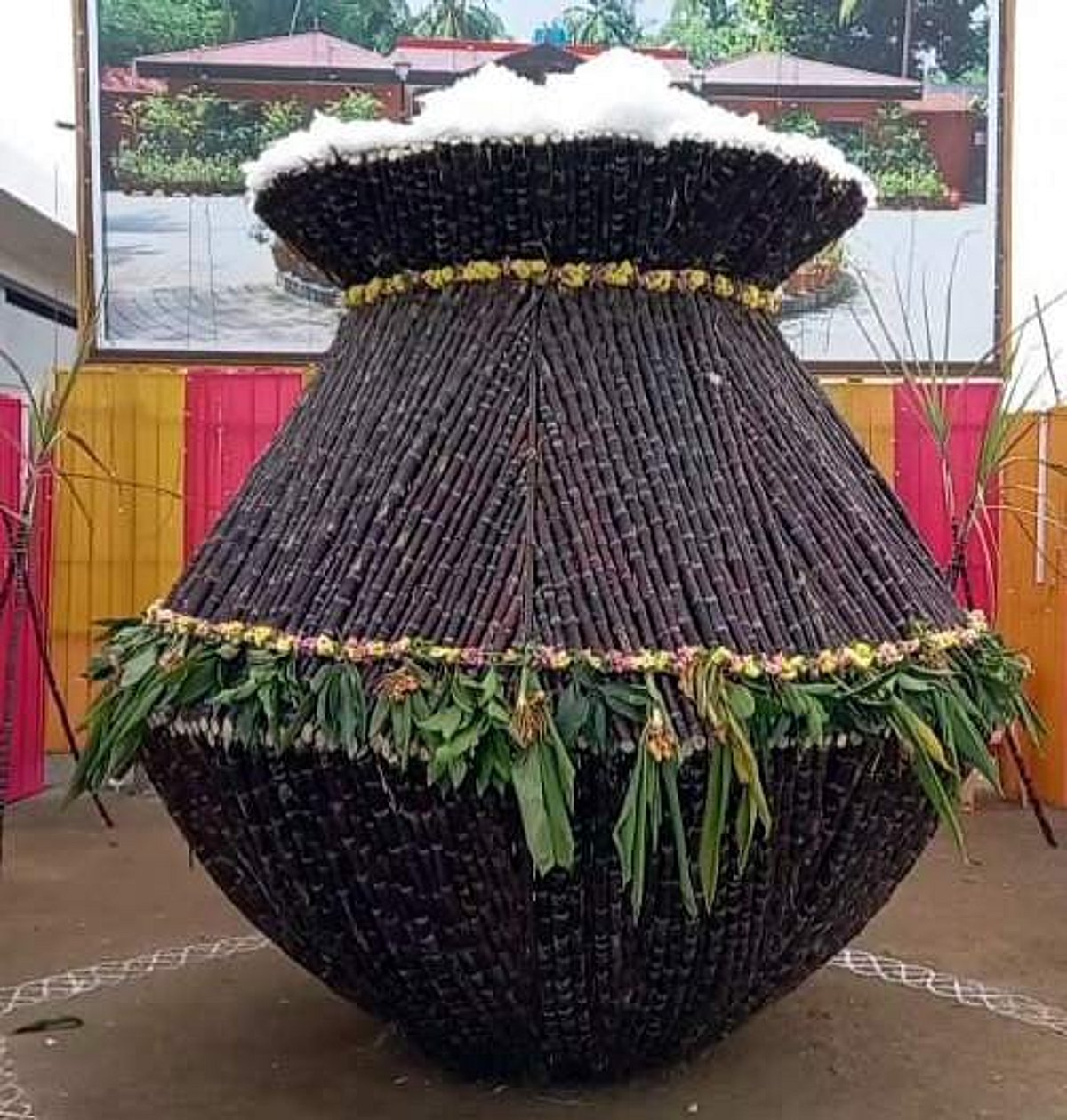 காஞ்சிபுரம்: 15 அடி உயரத்தில் கரும்பு பானை வைத்து பொங்கல் கொண்டாடிய விவசாயி