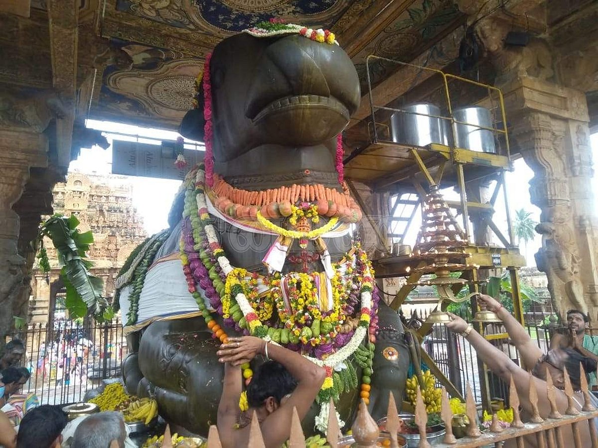 மகர சங்கராந்தி: தஞ்சை பெரியகோயிலில் மகா நந்திகேசுவரருக்கு காய்கனி அலங்காரம்