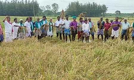 ஜயங்கொண்டம் அருகே வயலில் இறங்கி விவசாயிகள் போராட்டம்