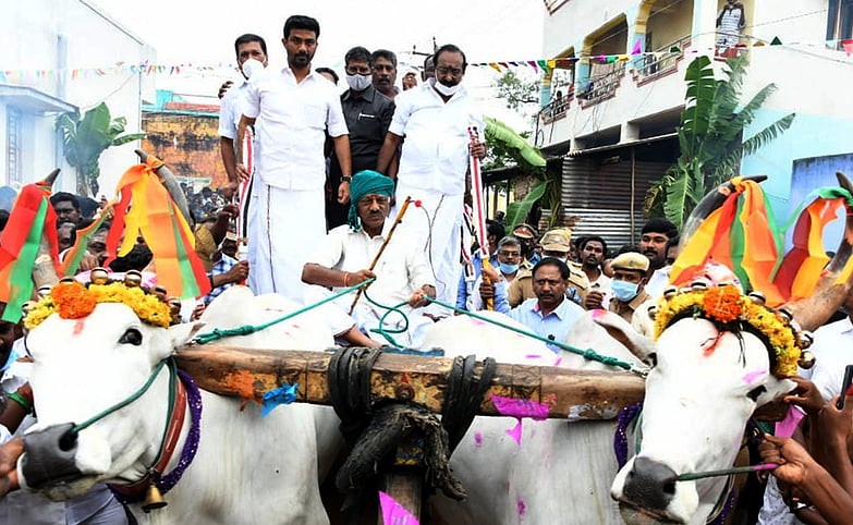 போடியில் பென்னி குவிக் பொங்கல் விழா: மாட்டு வண்டியை ஓட்டிவந்து துணை முதல்வா் பங்கேற்பு