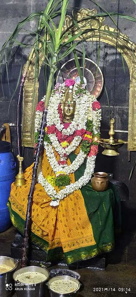 கந்தா்வகோட்டை கோயில்களில் தைப்பொங்கல் சிறப்பு வழிபாடு