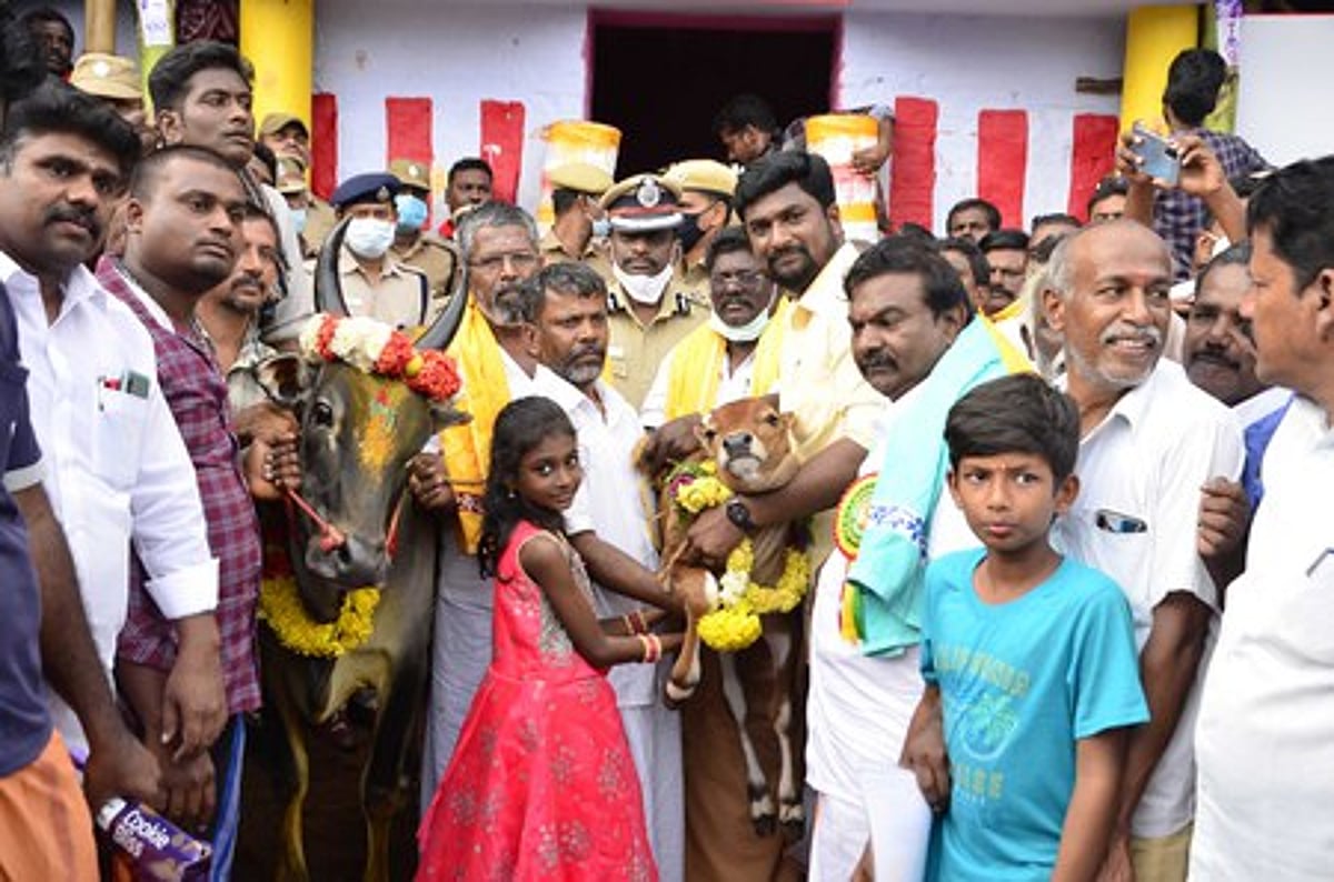 பாலமேடு ஜல்லிக்கட்டு: 674 காளைகள் களமிறக்கப்பட்டன35 போ் காயம்