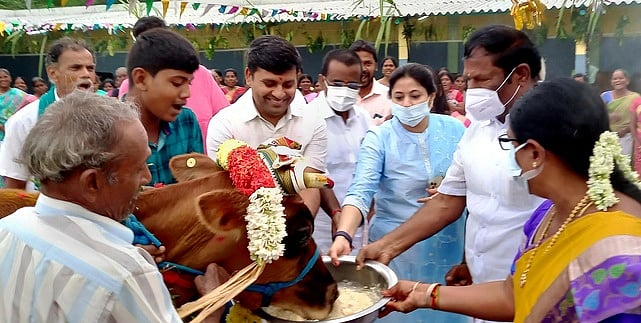 தனலட்சுமி சீனிவாசன் கல்வி நிறுவனத்தில் மாட்டுப் பொங்கல்