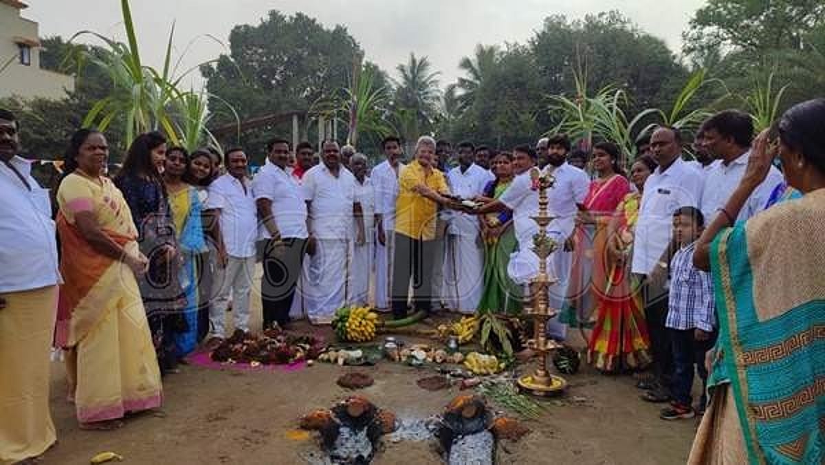 ஓமலூர் மற்றும் காடையாம்பட்டி பகுதிகளில் வெகு விமர்சையாக மாட்டுப்பொங்கல் விழா