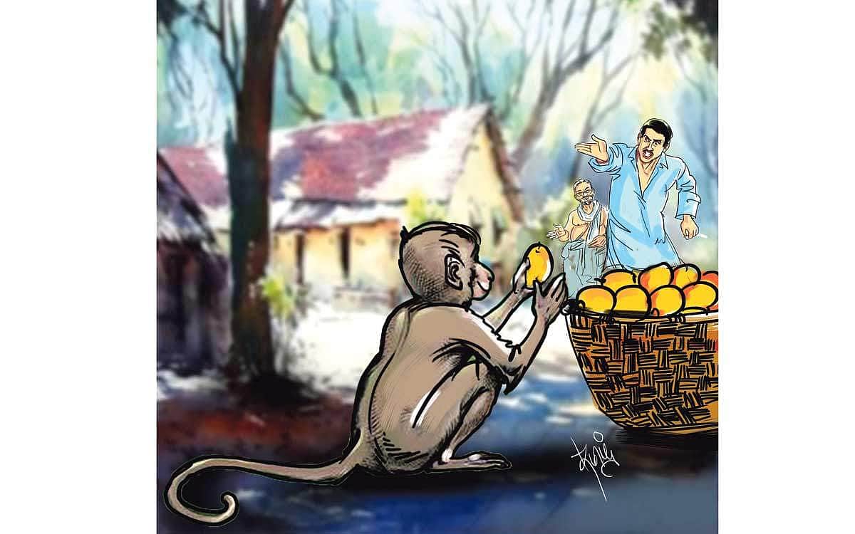 News image