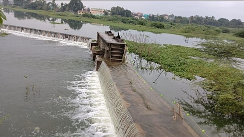 ஸ்ரீவிலி. பெரியகுளம் கண்மாய் 14 ஆண்டுகளுக்கு பிறகு நிரம்பி மறுகால் பாய்கிறது