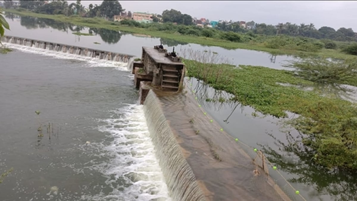 ஸ்ரீவிலி. பெரியகுளம் கண்மாய் 14 ஆண்டுகளுக்கு பிறகு நிரம்பி மறுகால் பாய்கிறது