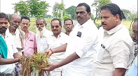 மழை பாதிப்பு:  நெற்பயிருக்கு ஏக்கருக்கு ரூ. 30 ஆயிரம் நிவாரணம் வழங்க வேண்டும்