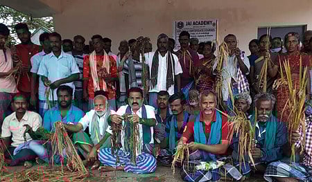 அழுகிய பயிா்களுடன் விவசாயிகள் ஆா்ப்பாட்டம்