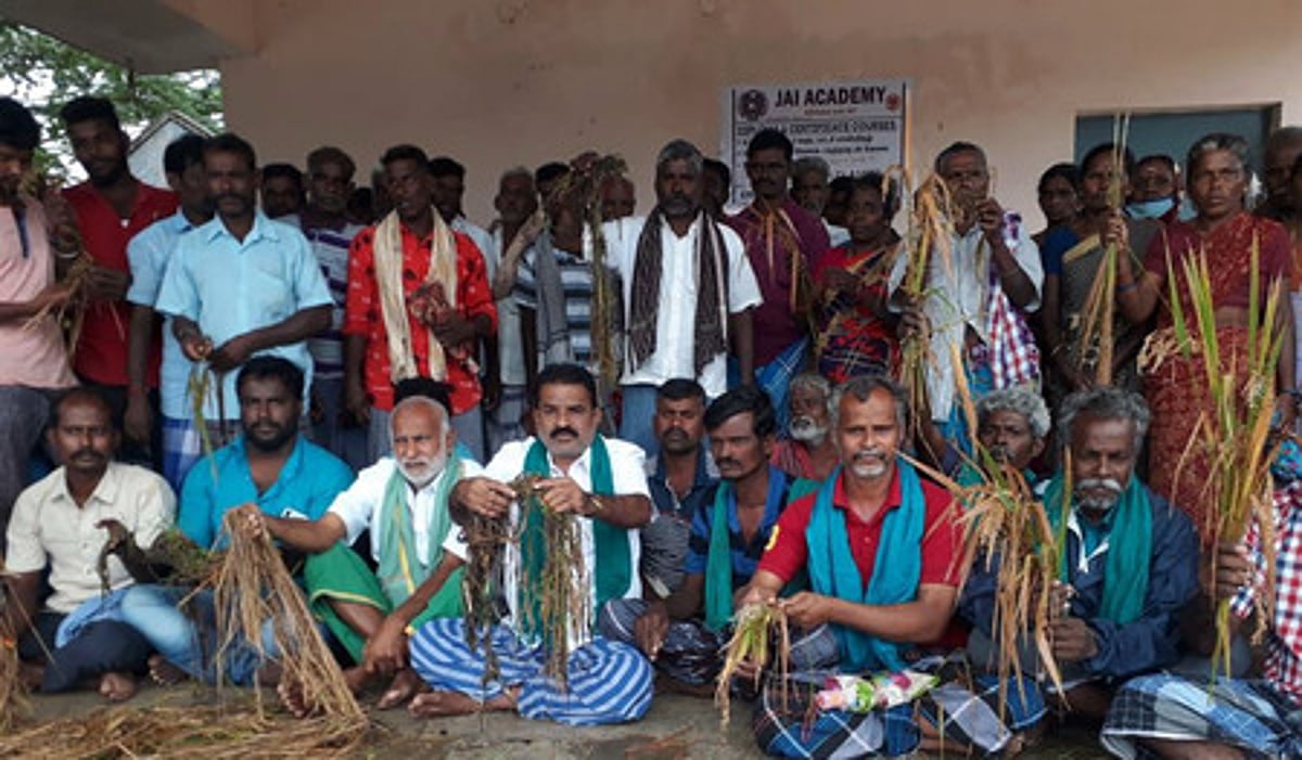 அழுகிய பயிா்களுடன் விவசாயிகள் ஆா்ப்பாட்டம்