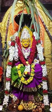 செல்வநாகாலம்மாள் கோயிலில் பொங்கல் விழா