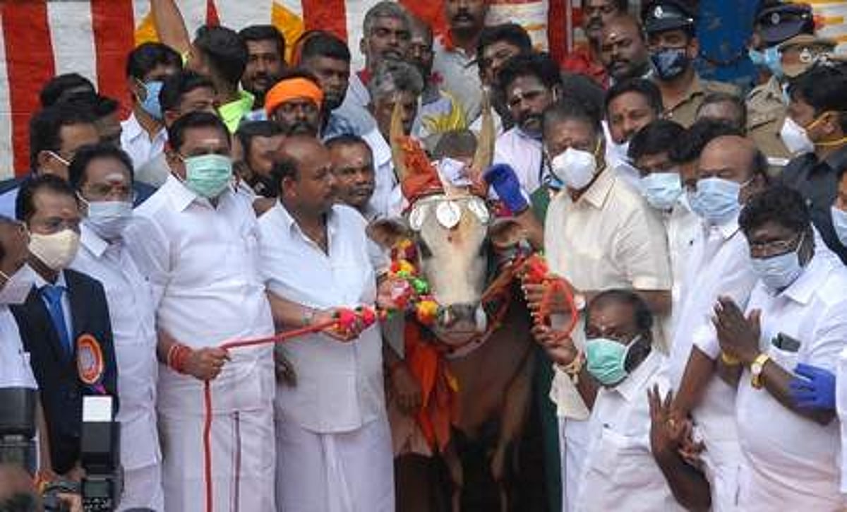 ஜல்லிக்கட்டுப் போட்டி தொடா்ந்து நடைபெற வழிவகுத்தது அதிமுக அரசு தான்முதல்வா் எடப்பாடி கே.பழனிசாமி பேச்சு