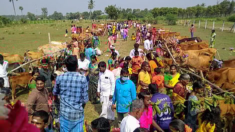 108 கோ பூஜை விழா