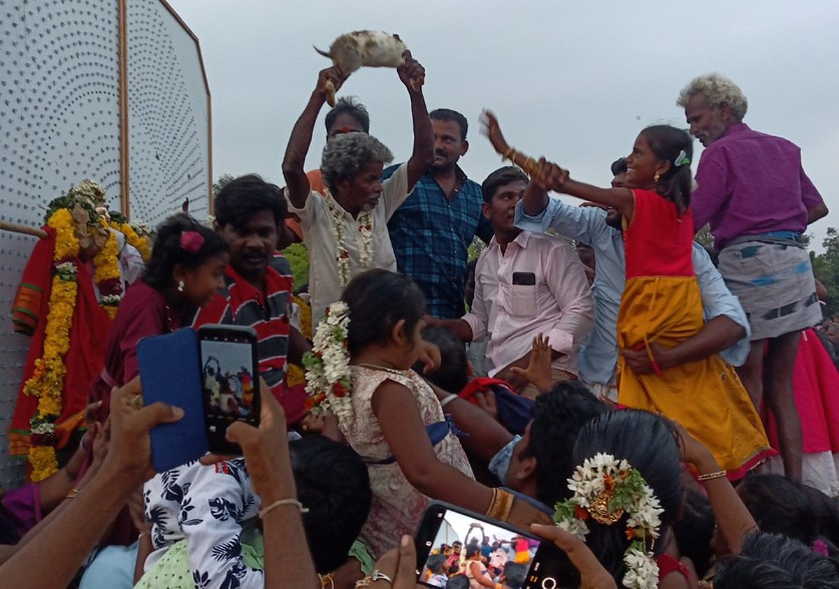 வந்தவாசி அருகே முயல் விடும் விழா