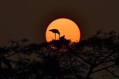 உங்களை நீங்கள் பத்திரமாக பார்த்துக்கொள்ள சில டிப்ஸ்