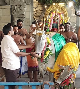 காஞ்சி காமாட்சி அம்மன் கோயிலில் கனு உற்சவம்