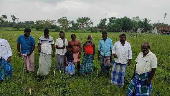 ‘தொடா் மழையில் சேதமடைந்த பயிா்களுக்கு நிவாரணம் வேண்டும்’