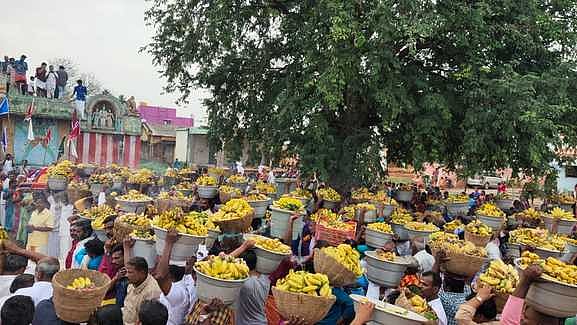 வாழைப்பழம் சூறையிட்டு பக்தா்கள் நோ்த்திக்கடன்